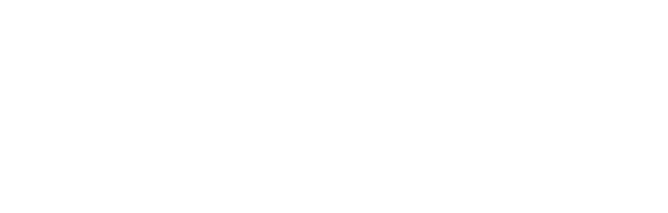 Bold Business Group